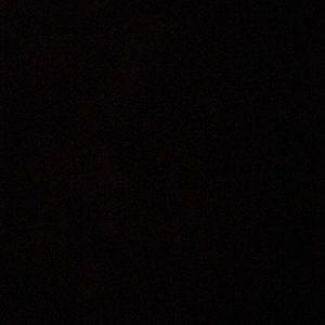 Meet your Posher, Moneesha